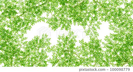 New green leaves landscape background 100098779