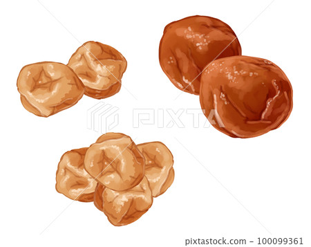 Hand drawn watercolor plum illustration one point line set 100099361