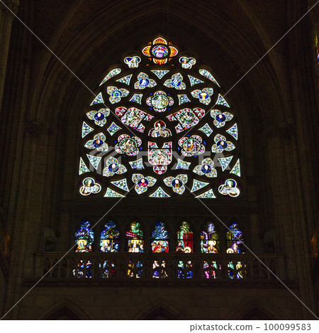 林茨老城新大教堂彩繪玻璃 100099583