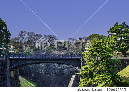 Imperial Palace Iron Bridge Imperial Palace Iron Bridge 100099825