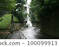 A road surrounded by trees 100099913