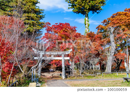 長野高遠城跡公園～染上秋色的本壘舊址～ 100100059