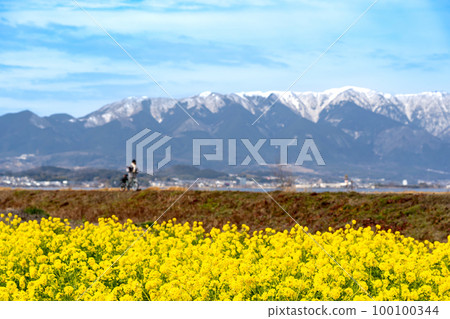 Field of rape blossoms and Mt. Hira with snow remaining in Nagisa Park in Moriyama City, Shiga Prefecture Field of rape blossoms and Mt. Hira with snow remaining in Nagisa Park in Moriyama City, Shiga Prefecture 100100344