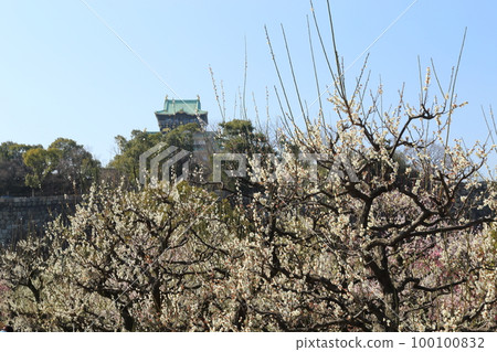 大阪城梅林 / 特別史蹟大阪城公園 100100832