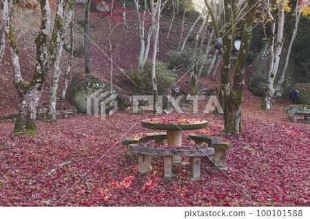 Autumn leaves of Kasagiyama Nature Park Autumn leaves of Kasagiyama Nature Park 100101588