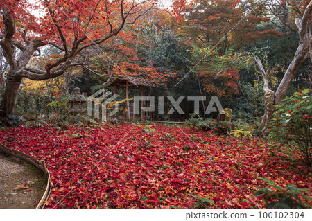 Falling leaves of Enrian Falling leaves of Enrian 100102304