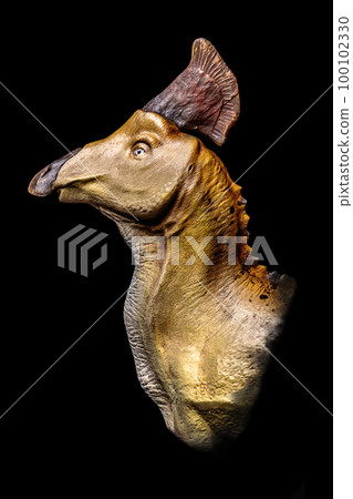 The head of Olorotitan in the dark , dinosaur on black background The head of Olorotitan in the dark , dinosaur on black background 100102330