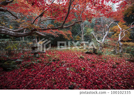 Falling leaves of Enrian Falling leaves of Enrian 100102335