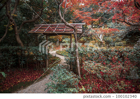Falling leaves of Enrian Falling leaves of Enrian 100102340