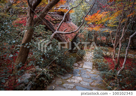 恩里安的落葉 恩里安的落葉 100102343