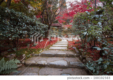 Falling leaves of Enrian Falling leaves of Enrian 100102383