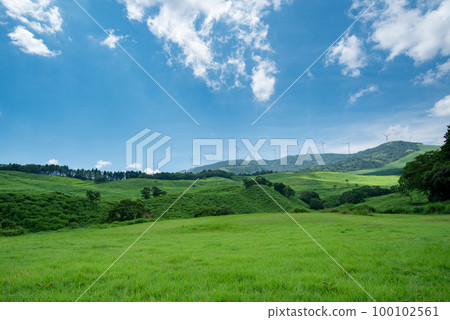 初夏的細野高原 初夏的細野高原 100102561