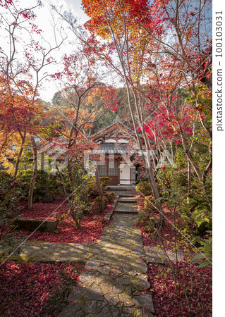 好法律寺廟的秋葉 100103031