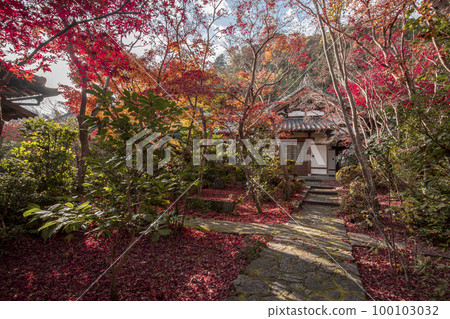 Autumn leaves of the Temple of Good Law 100103032