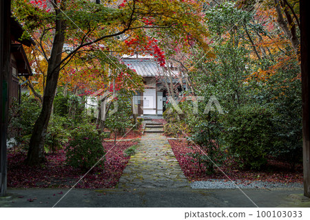 好法律寺廟的秋葉 好法律寺廟的秋葉 100103033