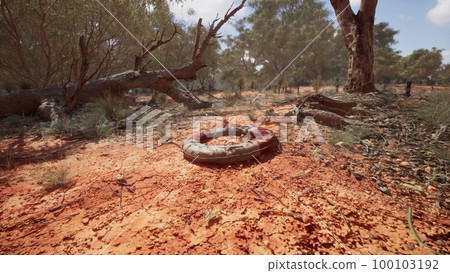 life ring buoy in desert beach 100103192