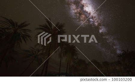 Starry night sky against with coconut palm trees 100103200
