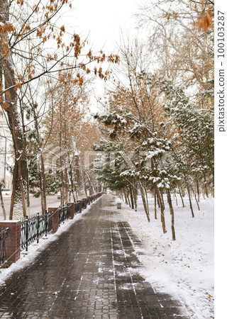 Snow-covered autumn sidewalk on Mustakillik Avenue in Tashkent, Uzbekistan 100103287