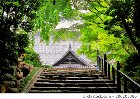 Rinno-ji main hall and approach to the shrine in fresh greenery 100103380
