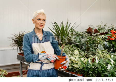 Woman in a greenhouse holds a pot. Preparing my garden for spring time 100103393