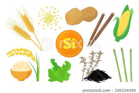 含矽食物的矢量圖解。 含矽食物的矢量圖解。 100104489