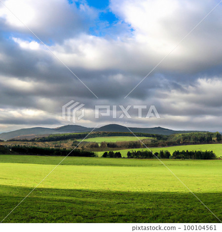 Windows XP style background image 100104561