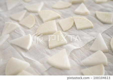 半乾蘿蔔 半乾蘿蔔 100104613