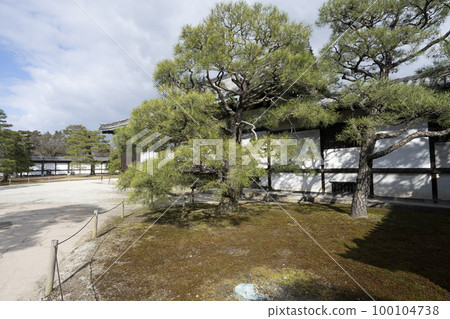 二條城Ninomaru花園 二條城Ninomaru花園 100104738