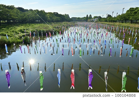 Carp streamers over the Tsuruuda River in Tatebayashi City 100104808