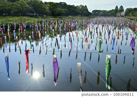 Carp streamers over the Tsuruuda River in Tatebayashi City 100104811