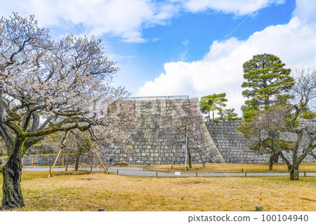 Nijo Castle Bairin 100104940