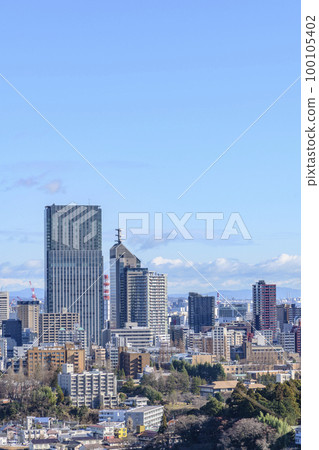 Distant view of Sendai city 100105402