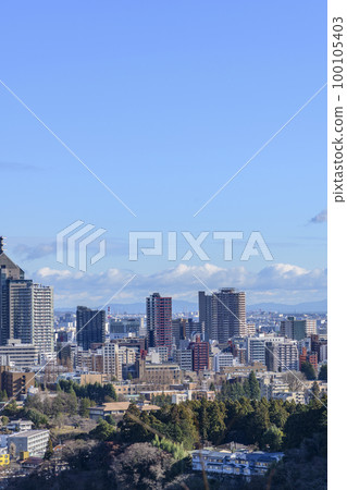Distant view of Sendai city 100105403