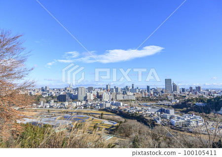 Distant view of Sendai city 100105411