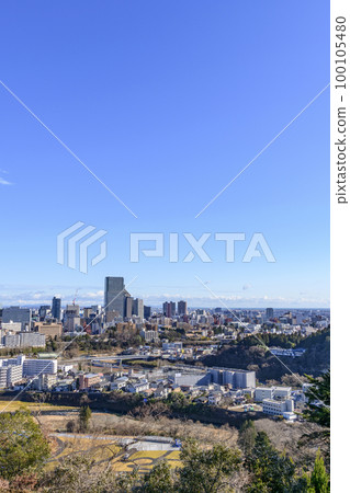 仙台市的遠景 100105480