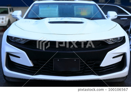 汽車大燈圖像 100106567