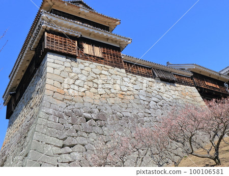 Iyo Matsuyama castle in early spring 100106581