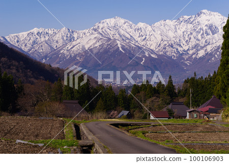 Ao Oni Rice Fields and Shirouma Sanzan 100106903