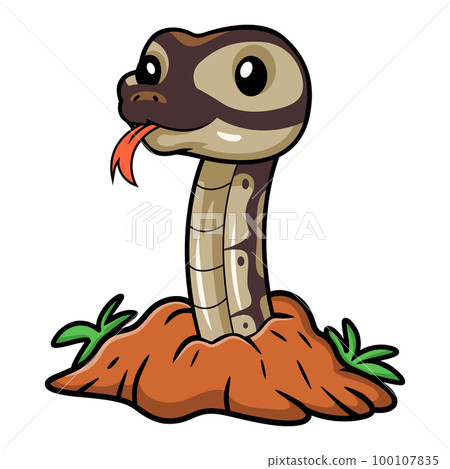 Cute black head butter ball python cartoon out from hole 100107835