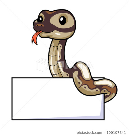 Cute black head butter ball python cartoon with blank sign Cute black head butter ball python cartoon with blank sign 100107841
