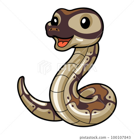 Cute black head butter ball python cartoon Cute black head butter ball python cartoon 100107843