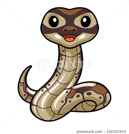 Cute black head butter ball python cartoon Cute black head butter ball python cartoon 100107850