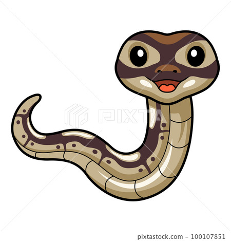 Cute black head butter ball python cartoon 100107851