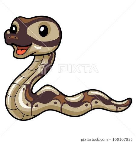 Cute black head butter ball python cartoon Cute black head butter ball python cartoon 100107855