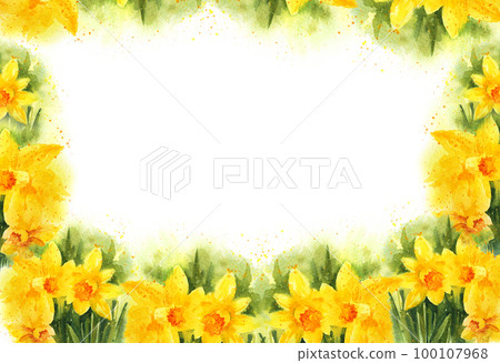 watercolor, narcissus, flower 100107968