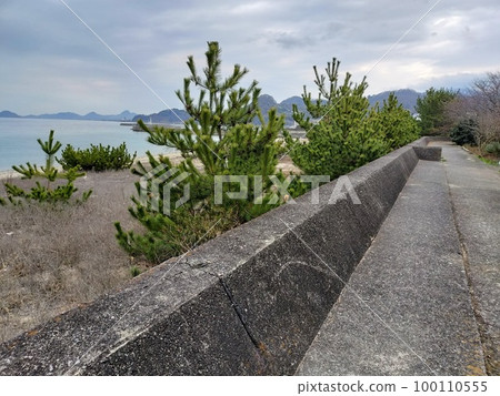 路堤旁種植防風林的景觀 路堤旁種植防風林的景觀 100110555