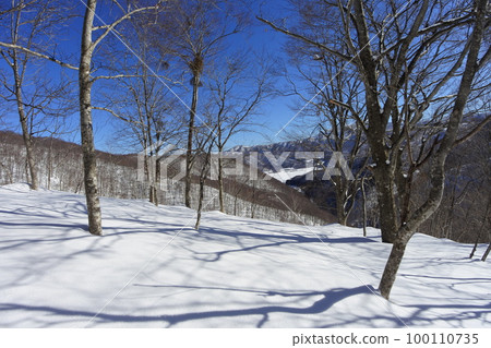 高曾根山 100110735