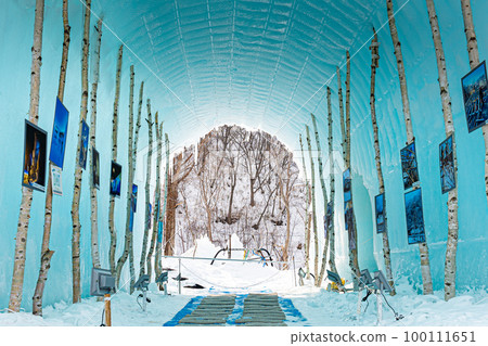 支笏湖冰節 支笏湖冰節 100111651