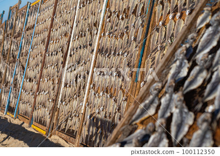 Fish drying on the beach in Nazare Fish drying on the beach in Nazare 100112350