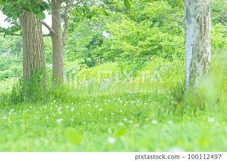 北海道栗山町風光 100112497